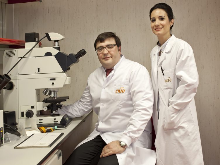 Confirmado: El cáncer de próstata más agresivo y el de mama están relacionados