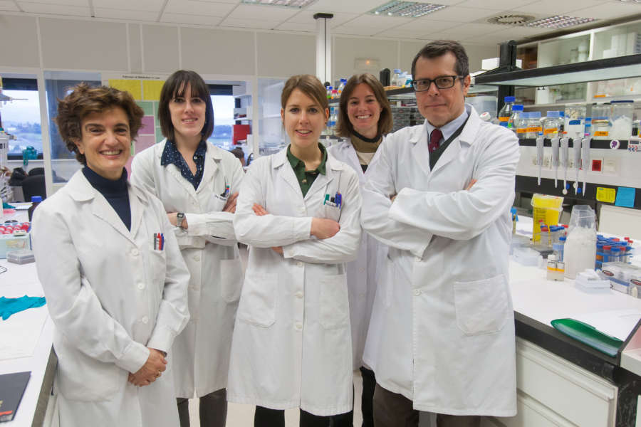 Investigadores del CIMA identifican nuevos mecanismos moleculares implicados en el desarrollo del cáncer