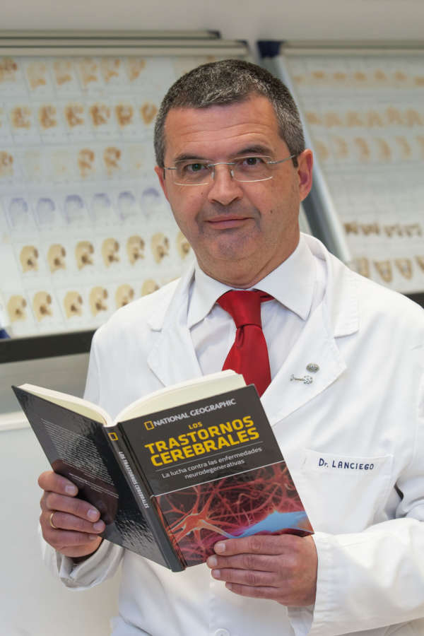 Más de 200 causas enferman el cerebro