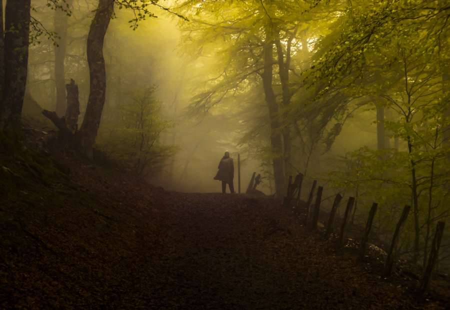 Correos entrega el premio a la mejor fotografía del concurso ‘Los colores del Camino’
