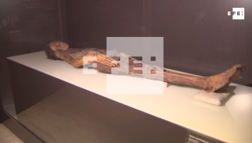 Una investigación descubre secretos del antiguo Egipto a través de la radiología