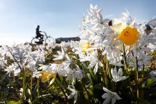 La primavera en Navarra será 