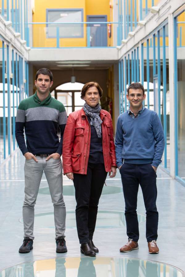 Una aplicación calcula por regiones el riesgo de mortalidad por cáncer