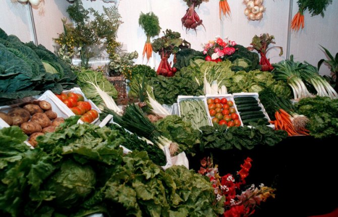 Acuerdo para impulsar la internacionalización de empresas agroalimentarias