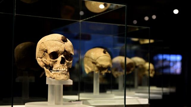 Cabezas cortadas como trofeos y símbolos de poder en el Museo Arqueológico