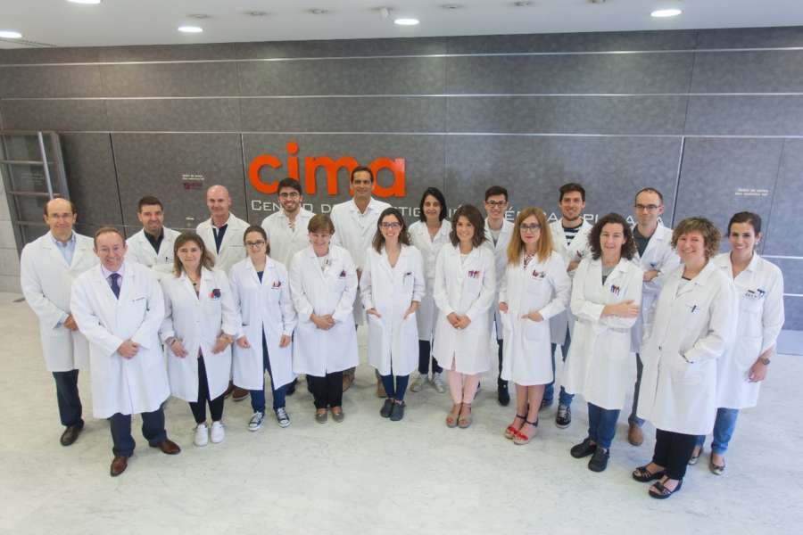 Identifican un grupo de proteínas que ayuda a predecir la recaída en el cáncer de pulmón