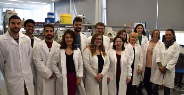Un estudio abre una nueva vía para regenerar tejidos tras una lesión medular
