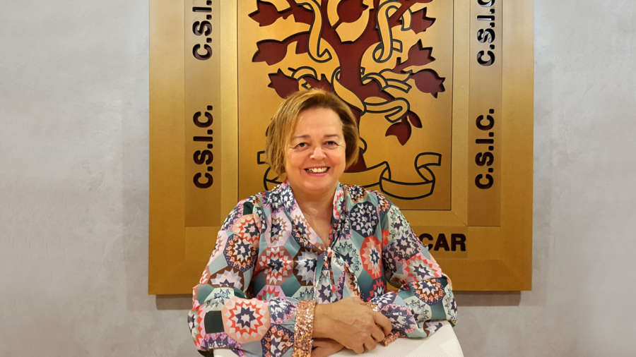 Rosa Menendez, presidenta del CSIC Rosa Menendez, presidenta del CSIC  CSIC