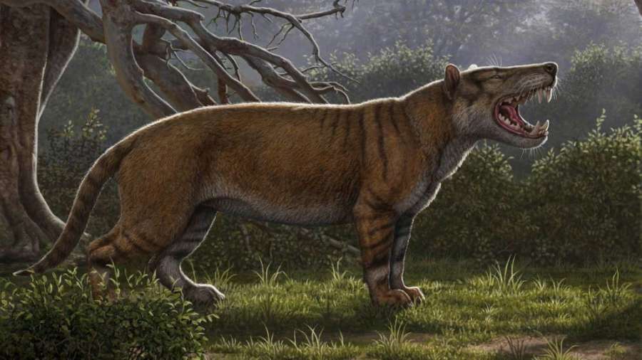 Identifican el fósil de un nuevo mamífero gigante, el 
