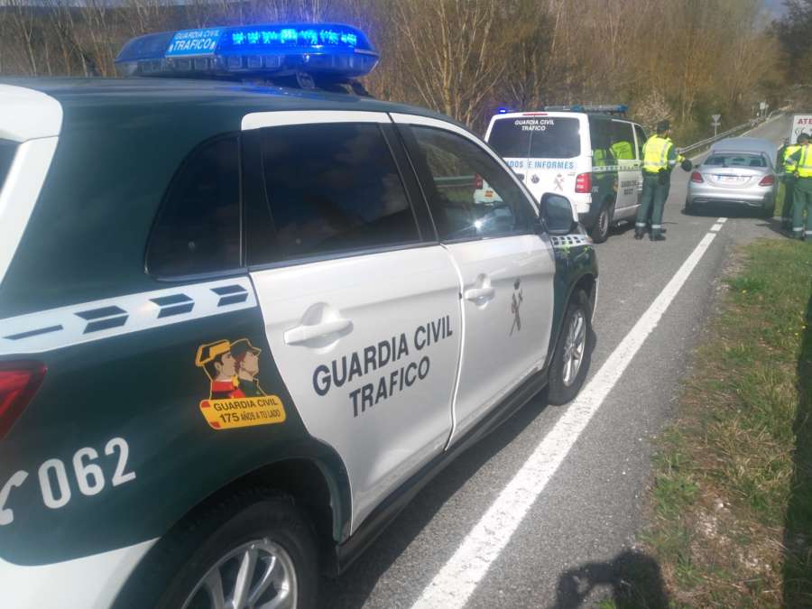 Detenido en Navarra por robo y conducción temeraria