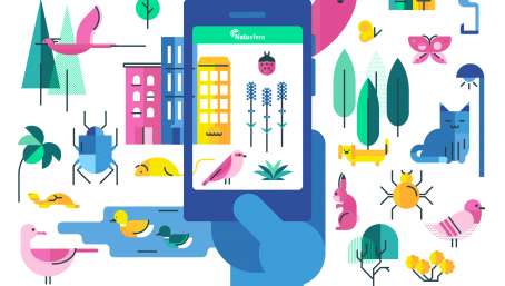 Madrid, Barcelona y Pamplona participan en el maratón de ciencia ciudadana