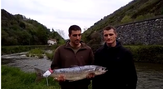 Un pescador de Huarte captura el primer salmón de la temporada en el Bidasoa,