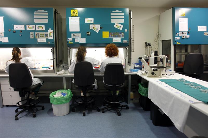 El pluriempleo marca máximos liderado por maestros, administrativos y médicos