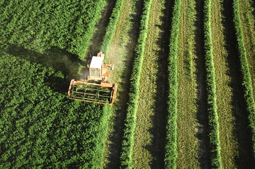 Agricultores navarros reciben 104 millones del Feaga hasta el 30 de abril
