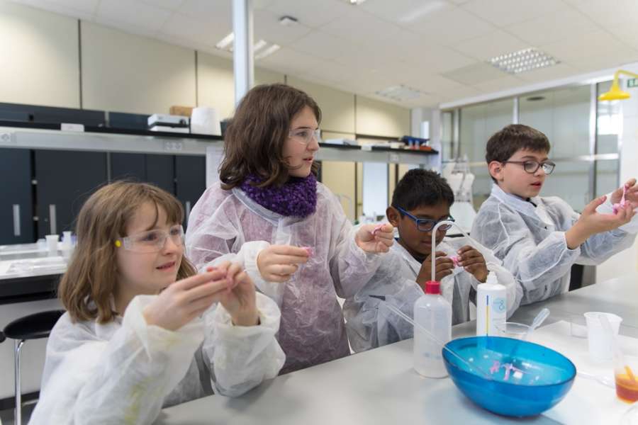 La Universidad de Navarra lanza unos campamentos de verano sobre química y naturaleza
