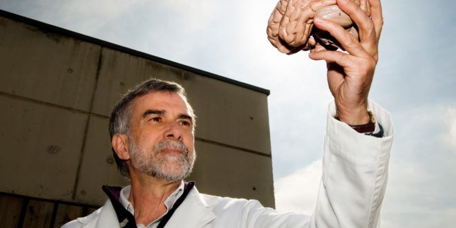 El neurocientífico Ignacio Morgado: El placer permanente hace daño al cerebro