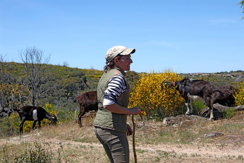 Inés, la última cabrera, esperanza para un mundo que agoniza en Europa