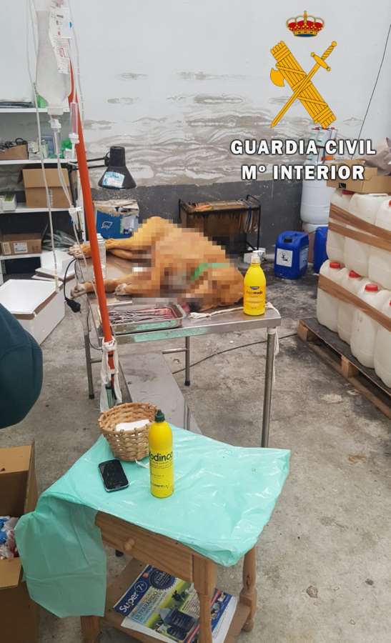 La Guardia Civil desmantela una clínica veterinaria clandestina en la zona de la Ulzama
