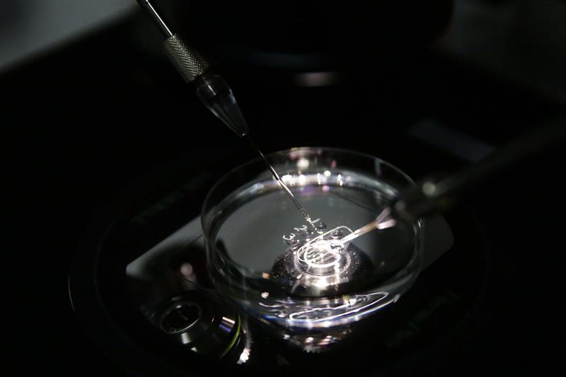 ¿El anonimato de los donantes de óvulos y espermatozoides llega a su fin?