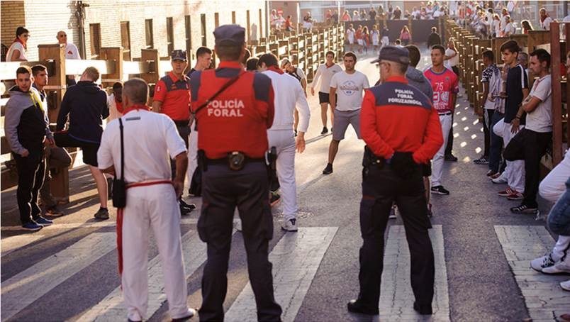 Policía Foral, Policía Nacional y Policía Municipal realizan un dispositivo especial para las fiestas de Santa Ana en Tudela