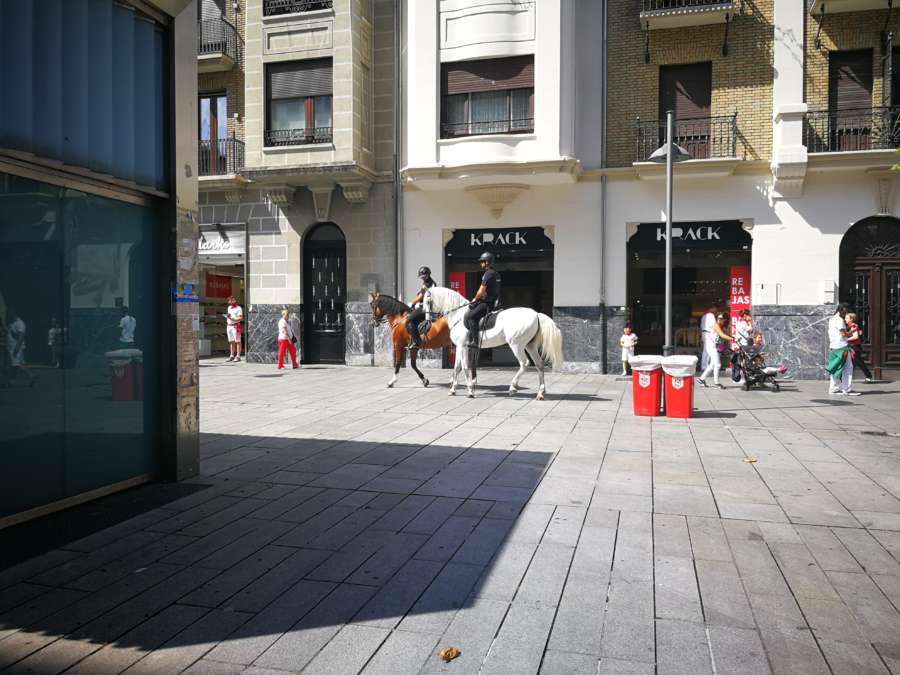 Policía Nacional desplegará patrullas a caballo también en fiestas de Tudela