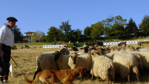 Iropil acoge este domingo una jornada festiva en torno al pastoreo