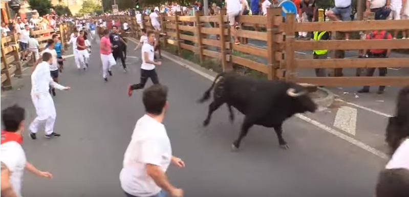Fiestas de Santa Ana: Primer encierro de Tudela, rápido y sin heridos de gravedad