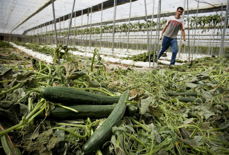 En papel y a boli: así cumple el campo con el registro de la jornada laboral
