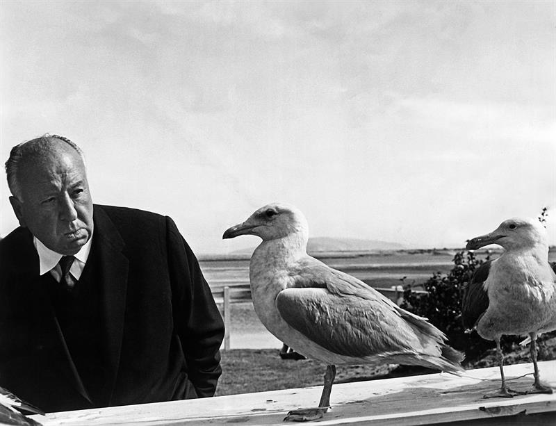 Alfred Hitchcock, 120 años de uno de los mayores genios del cine