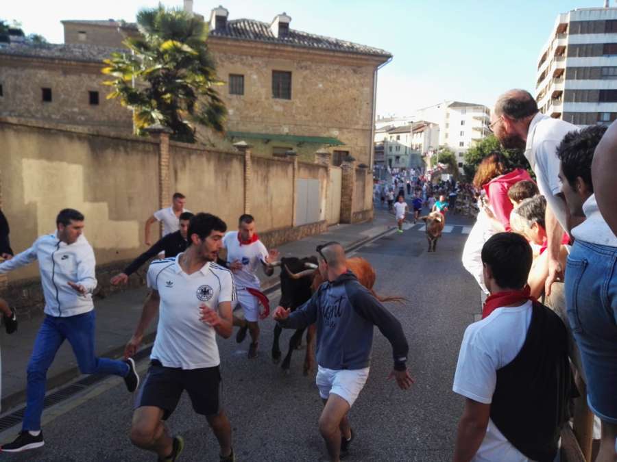 Primer encierro en Estella, lento y sin heridos