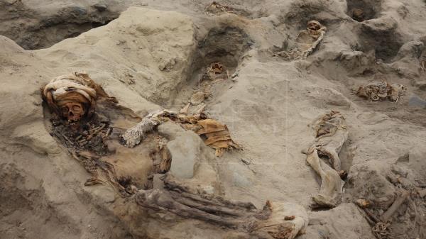 Los sacrificios masivos de niños eran un ritual habitual en el Antiguo Perú
