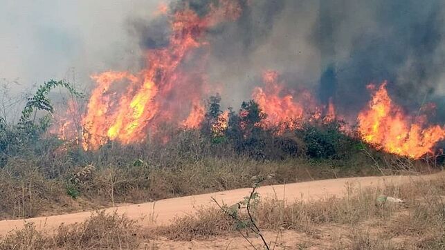 El mundo exige salvar la Amazonía, 