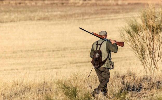 El Gobierno de Navarra pone en marcha la 