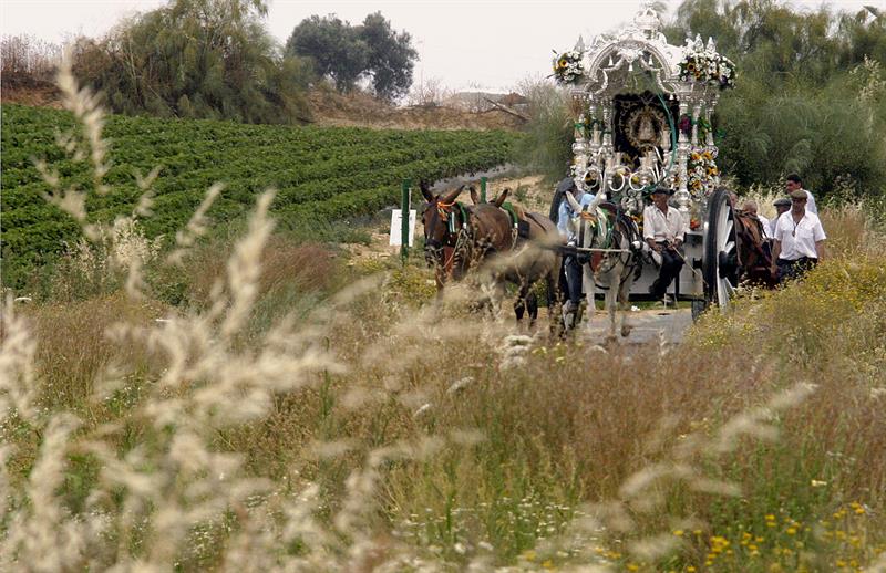El Rocío inaugura alumbrado para procesión de Virgen en traslado a Almonte
