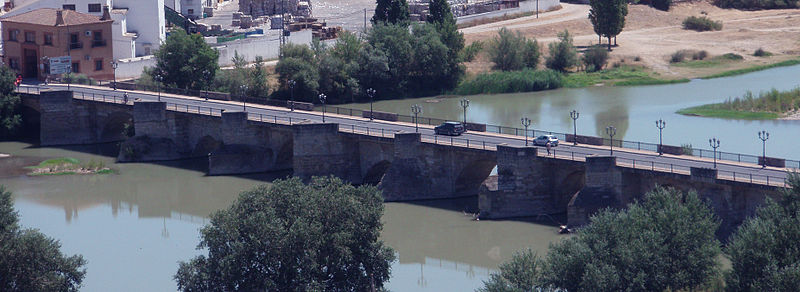 Piden el apagado de farolas en el puente del Ebro en Tudela los días de eclosión de efímeras