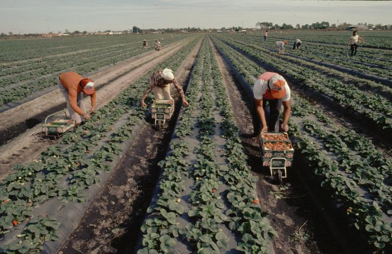 El empleo parcial sube un 18 % en la última década, sobre todo en los hombres