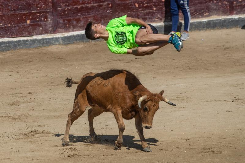 Casi toda España sigue dando toros en verano, aunque ahora a coste más bajo