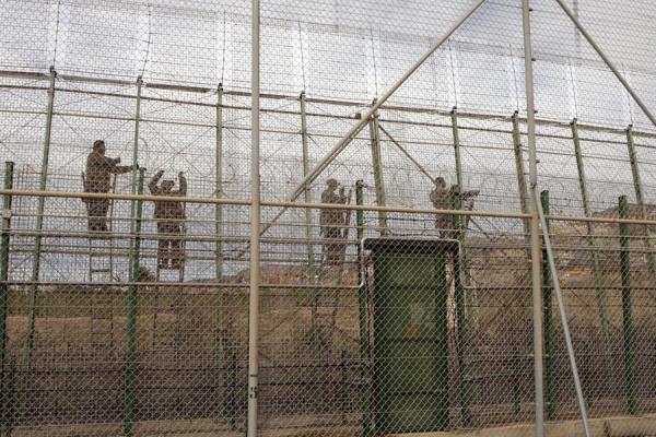 Interior empezará a retirar las concertinas de las vallas fronterizas de Ceuta y Melilla