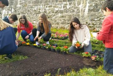 El Colegio Sagrado Corazón de Pamplona, premio Aprendizaje-Servicio 2019
