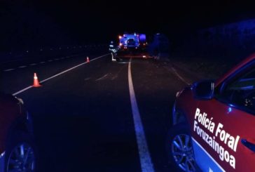 Herido un conductor al salirse de la vía en la N 121 A en Santesteban