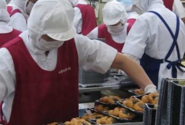 Navarra impulsará la creación de nuevas empresas de inserción social