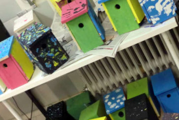 150 cajas nido colocadas en Pamplona