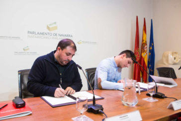 El Parlamento de Navarra subvenciona con 23.000 euros al Consejo de la Juventud