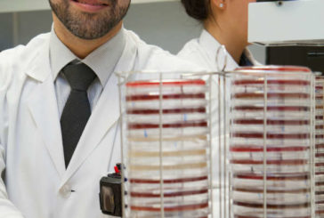 Una hoja de ruta para añadir la ivermectina al arsenal de fármacos contra la malaria