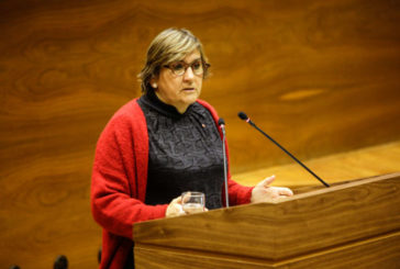 La cámara foral insta al Gobierno de Navarra a poner en marcha procesos de integración de los MENAS