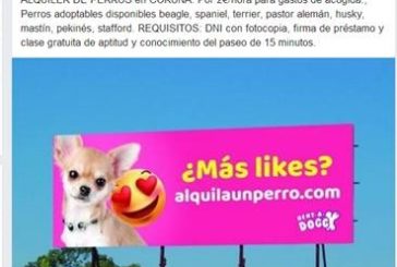 Localizado el hombre que alquilaba a sus perros en el estado de alarma por coronavirus