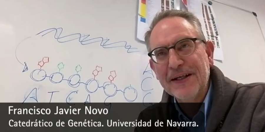 El Museo de Ciencias Universidad de Navarra explicará el impacto del coronavirus desde un enfoque multidisciplinar