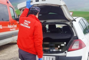Policía Foral de Navarra interpone 50 denuncias diarias desde el inicio del estado de alarma por coronavirus
