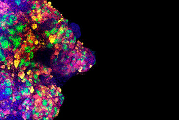 El Cima participa en la investigación de un fármaco que neutraliza el virus causante del Covid-19