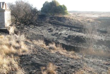 Se esclarecen los incendios intencionados en la balsa de El Pulguer, en Tudela